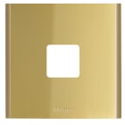 BTICINO - Fingerprintmodul LINEA 5000 für ekey sLine in der Farbe Gold