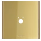BTICINO - Modul LINEA 5000 für mech. und elektr. Postschloss in der Farbe Gold