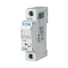 EATON - Leitungsschutzschalter, 50 A, 1p, Charakteristik: C