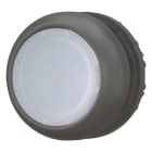EATON - Leuchtdrucktaste, RMQ-Titan, flach, rastend, weiß, unbeschriftet, Frontring Schwarz