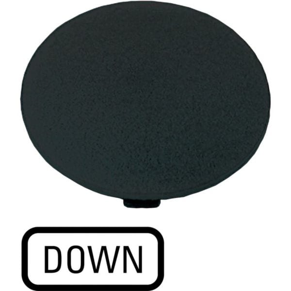 EATON - Tastenplatte, Pilz schwarz, DOWN