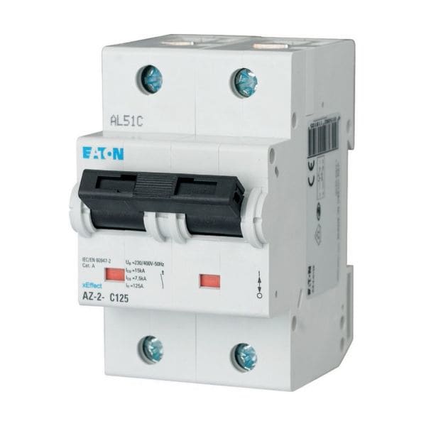 EATON - Leitungsschutzschalter, 100A, 2p, C-Char