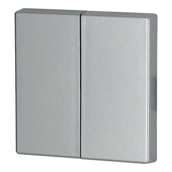 EATON - Wippe, 2-fach, silber