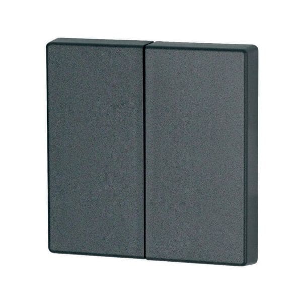 EATON - Wippe, 2-fach, Tiefschwarz