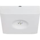 EATON - GuideLed SL 13022.1 CG-S Aufbau sym.
