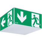 EATON - Exit Cube 33042 CG-S (Leuchte)