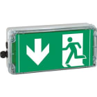 EATON - Ex-Rettungszeichenleuchte EXIT V-CG-S für Notlichtfunktion für Zone 1/21, Piktogramm: DIN ISO 7010, Pfeil: 6 Uhr