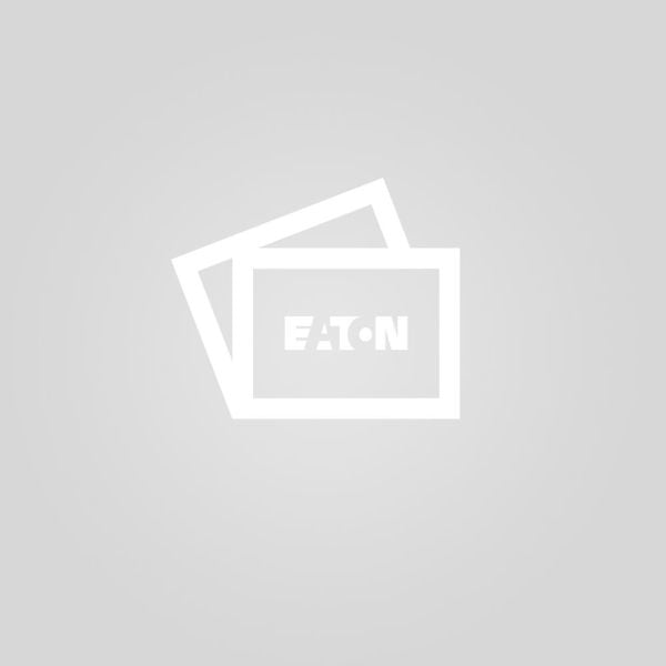 EATON - ERSATZ STYLE EVG 13.3 V-CG-S