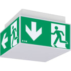 EATON - Exit Cube 33022 LED CG-S (Leuchte)