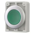 EATON - Leuchtdrucktaste, RMQ-Titan, flach, rastend, grün, unbeschriftet, Frontring Metall