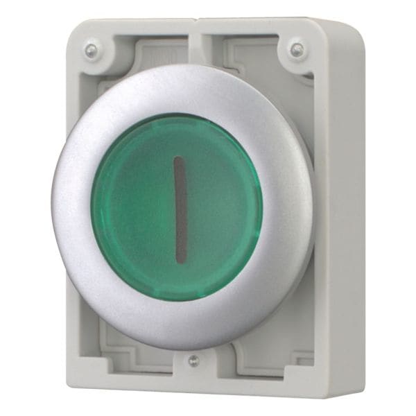 EATON - Leuchtdrucktaste, RMQ-Titan, flach, rastend, grün, beschriftet, Frontring Metall