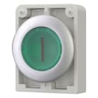 EATON - Leuchtdrucktaste, RMQ-Titan, flach, tastend, grün, beschriftet 1, Frontring Metall