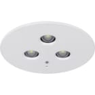 EATON - 3583 1-8h/D LED CGLine+