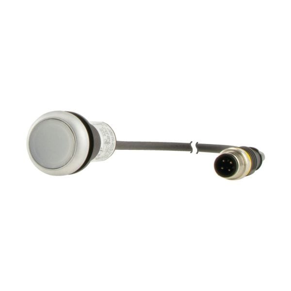 EATON - Leuchtdrucktaste, flach, tastend, 1 S, Kabel (schwarz) mit M12A-Stecker, 4-polig, 0.5 m, LED weiß, weiß, unbeschriftet, 24 V AC/DC, Frontrin