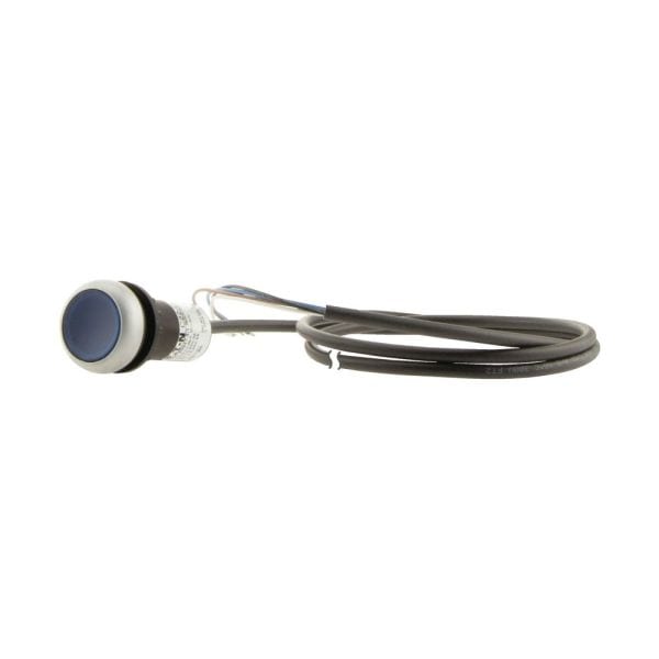 EATON - Leuchtdrucktaster,24V,1S,blau, 1m,offen