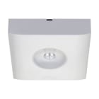 EATON - GuideLed SL 13012.2 CG-S Aufbau asym. 4000K
