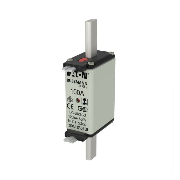 EATON - NH-SICHERUNG 100 A 500 V GL/GG GRÖSSE 01