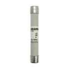 EATON - 54/107338 15A TRAKTIONSSICHERUNG
