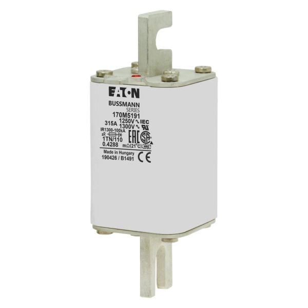 EATON - FUSE 315A 1250V 1TN/110 AR CU
