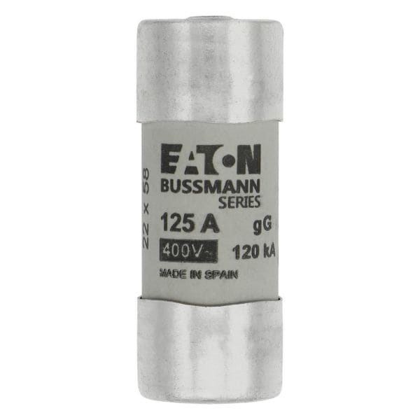 EATON - CYL GG 22,2X58 125A/STR