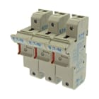EATON - 3 POLE 22X58 MFH NEON INDICATOR