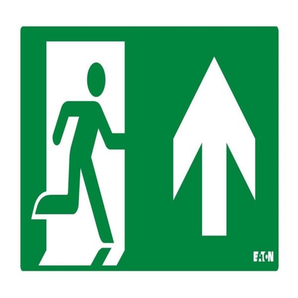 EATON - ETIQ H FLECHE HAUT CrystalWay
