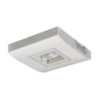 EATON - GuideLed SL 13852.2 1-8h/D CGL+ surf 5lx, 1x2W LED, 4000K, Weiß RAL9016