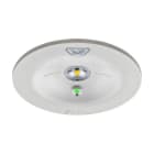EATON - GuideLed SL 13821.2 1-8h/D CGL+ rec sym, 1x2W LED, 4000K, Weiß RAL9016