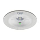 EATON - GuideLed SL 13811.2 1-8h/D CGL+ rec asy, 1x2W LED, 4000K, Weiß RAL9016