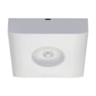EATON - GuideLed SL 13022.2 CG-S Aufbau sym. 4000K
