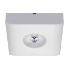 EATON - GuideLed SL 13032.2 CG-S Aufbau asym. 4000K