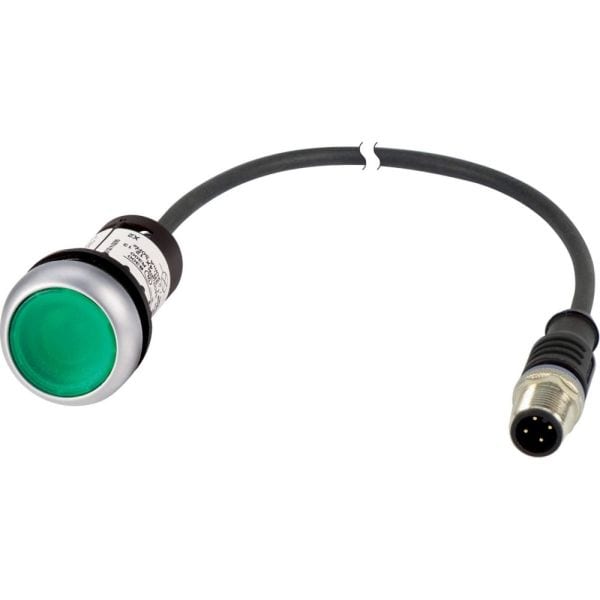 EATON - Leuchtdrucktaster,24V,1S,gruen, 0,5m,M12