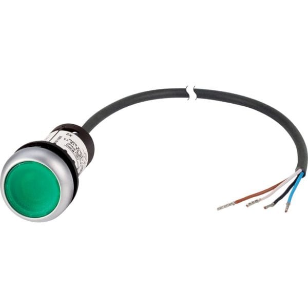 EATON - Leuchtdrucktaster,24V,1S,grün, 1m,offen