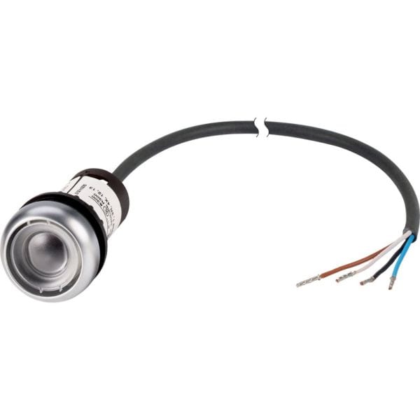 EATON - Drucktaste o.Platte,rst,2Ö,1m,offen