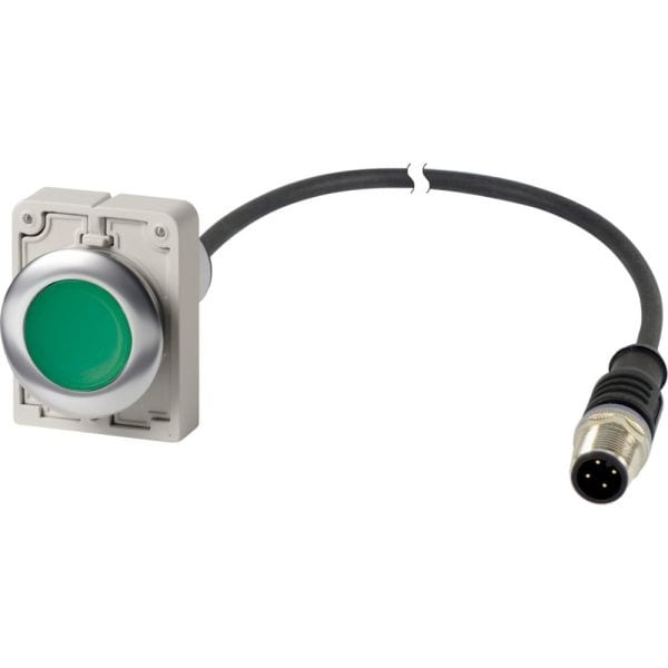 EATON - Leuchtdrucktaste 30mm,rs,1S,grün,1m,M12A
