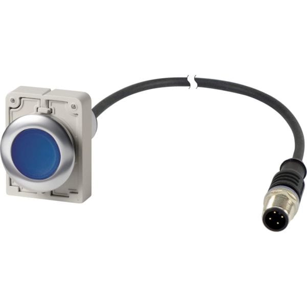 EATON - Leuchtdrucktaste 30mm,rs,1S,blau,1m,M12A