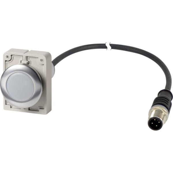 EATON - Leuchtmelder flat,30mm,24V,weiss,1m,M12A