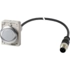 EATON - Leuchtmelder flat,30mm,24V,weiss,1m,M12A