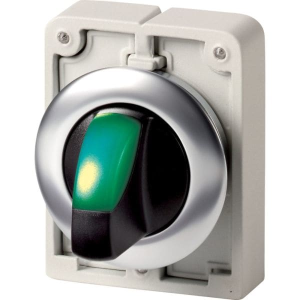 EATON - Leuchtwahltaste 30mm flach grün 2 Stell.