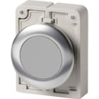 EATON - Drucktaste, 30mm flach, grau