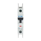EATON - Leitungsschutzschalter (MCB), 8 A, 1p, Charakteristik: C, DC, Ringzunge