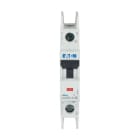 EATON - Leitungsschutzschalter (MCB), 16 A, 1p, Charakteristik: C, DC, Ringzunge
