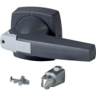 EATON - Knebel, 10 mm, Türeinbau, grau, Vorhängeschloss