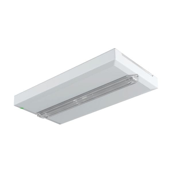 EATON - FT Escape 300lm WLS, 1-3H, IP