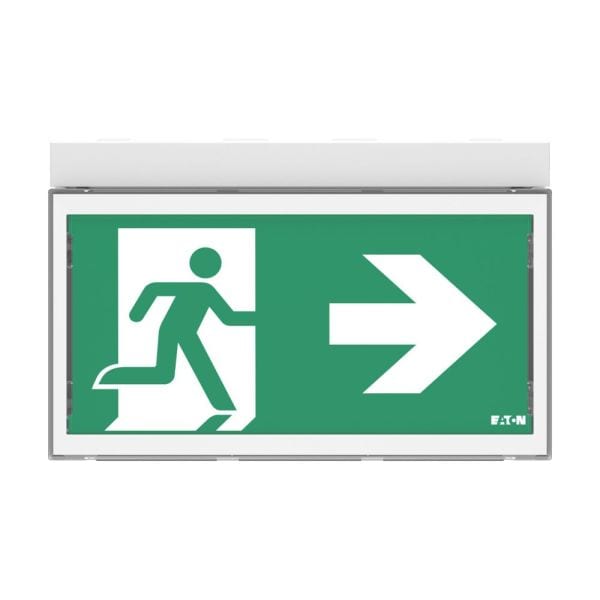 EATON - FT Exit Ceiling 20m WLS, 1-8H