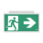EATON - FT Exit Ceiling 30m WLS, 1-8H, IP