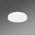 REGIOLUX - LED Wand- und Anbauleuchte, Diffusor matt. turas-TUARO/380 2700 830 ET