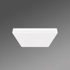 REGIOLUX - LED Wand- und Anbauleuchte, Diffusor matt. turas-TUAQO/400 1600 830 ET