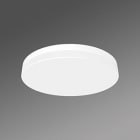 REGIOLUX - LED Wand- und Anbauleuchte, Diffusor matt. turas-TUARO/500 4300 840 DALI easy25