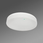 REGIOLUX - LED Wand- und Anbauleuchte, Diffusor matt. turas-TUARO/500 4000 830 ET NL-B3